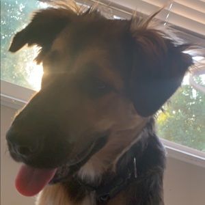 Meet your Posher, Avery